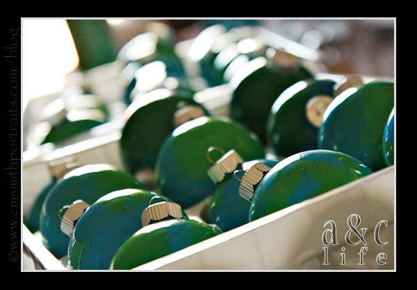 jessetree1-013 jessetree1-013